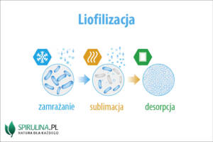 Liofilizacja