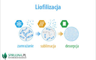 Liofilizacja