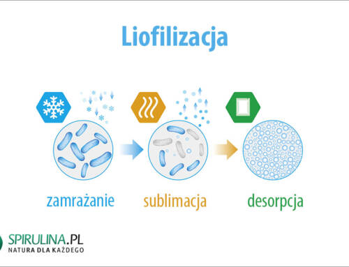 Liofilizacja