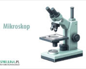 Mikroskop