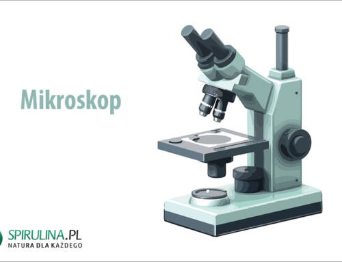 Mikroskop