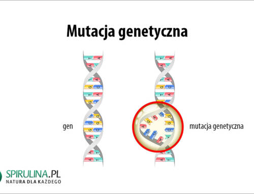 Mutacja genetyczna
