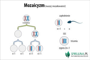 Mozaicyzm