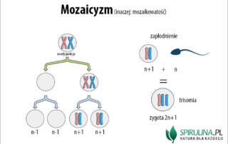 Mozaicyzm