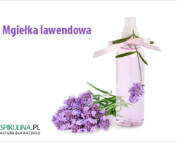 Mgiełka lawendowa