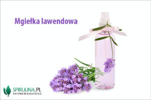 Mgiełka lawendowa