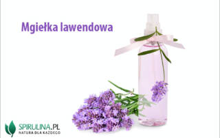 Mgiełka lawendowa