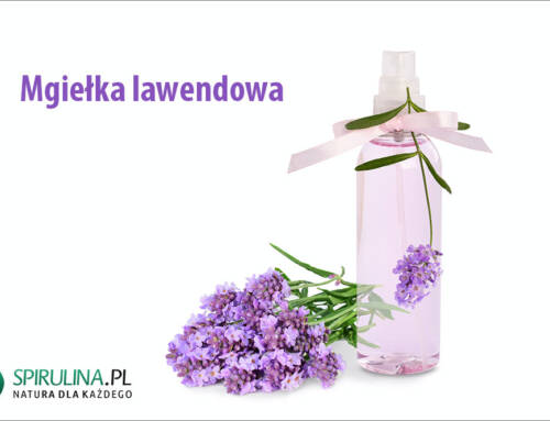 Mgiełka lawendowa