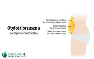 Otyłość brzuszna