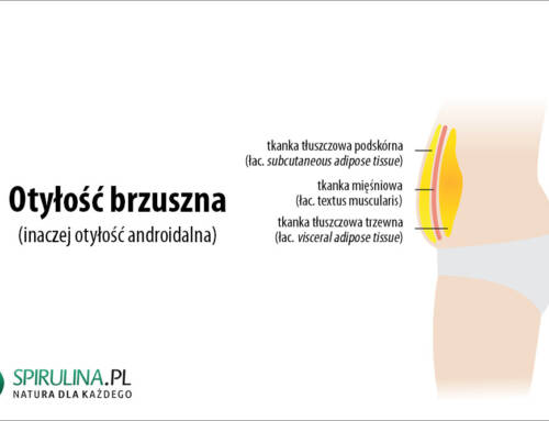 Otyłość brzuszna