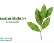 Wawrzyn szlachetny