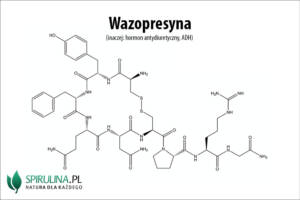 Wazopresyna