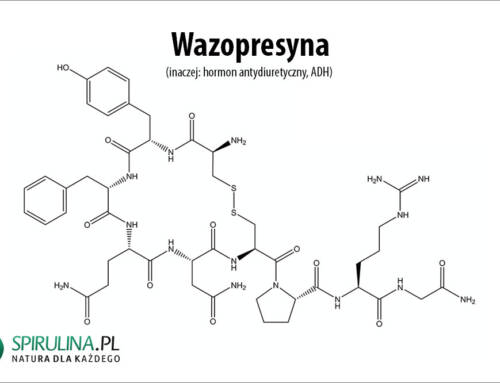 Wazopresyna