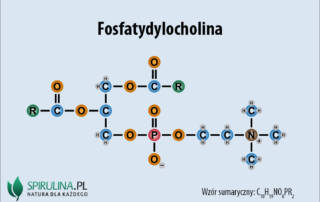 Fosfatydylocholina