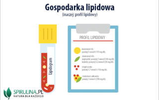 gospodarka lipidowa