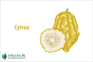 Cytron