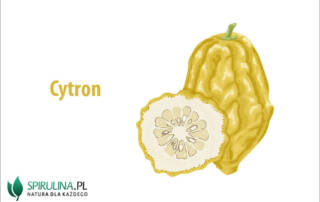 Cytron