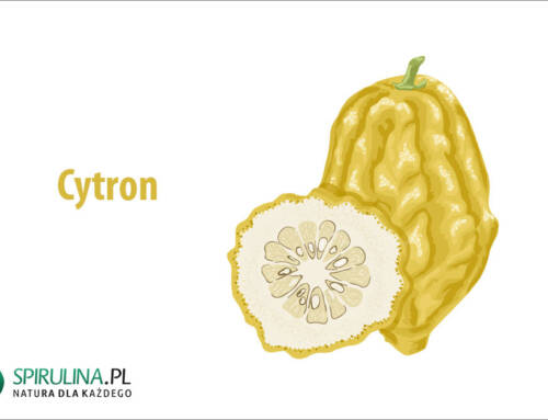 Cytron