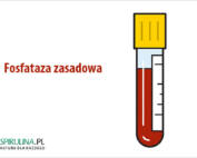 Fosfataza zasadowa