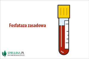 Fosfataza zasadowa