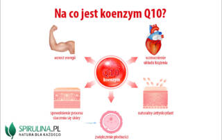 Na co jest koenzym Q10?