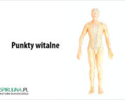 Punkty witalne