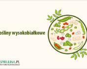 Rośliny wysokobiałkowe