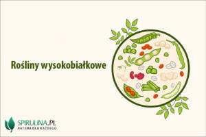 Rośliny wysokobiałkowe