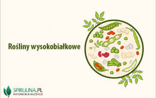 Rośliny wysokobiałkowe