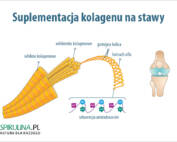 Suplementacja kolagenu na stawy