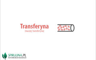 Transferyna