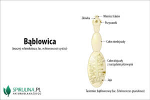 Bąblowica