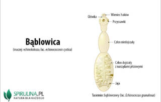 Bąblowica