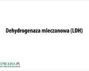 Dehydrogenaza mleczanowa