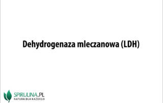 Dehydrogenaza mleczanowa