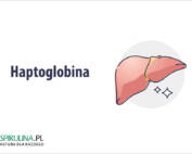Haptoglobina