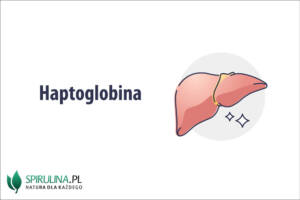 Haptoglobina
