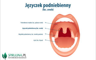 Języczek podniebienny