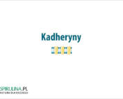 kadheryny