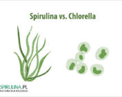 Spirulina vs. Chlorella