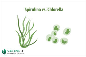 Spirulina vs. Chlorella