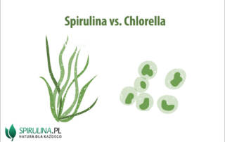 Spirulina vs. Chlorella