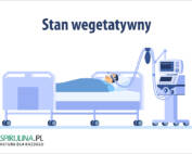 Stan wegetatywny