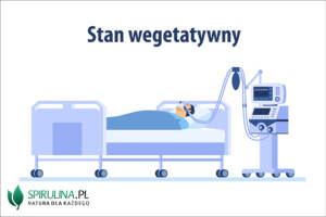 Stan wegetatywny