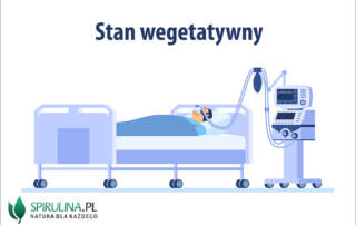 Stan wegetatywny