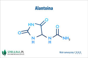 Alantoina