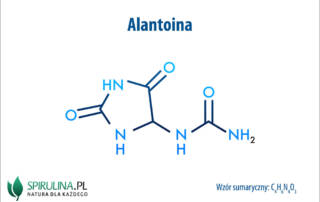 Alantoina