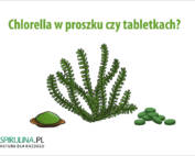 Chlorella w proszku czy tabletkach?