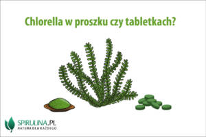 Chlorella w proszku czy tabletkach?