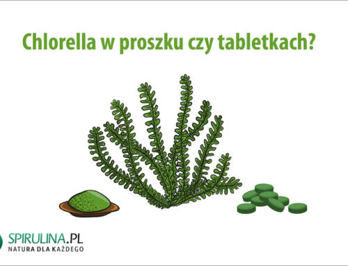 Chlorella w proszku czy tabletkach?